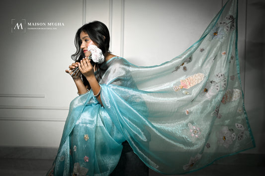 Blue organza tissue saree